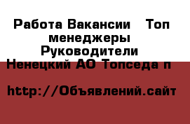 Работа Вакансии - Топ-менеджеры, Руководители. Ненецкий АО,Топседа п.